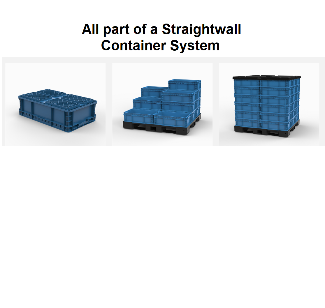 Item ID: FM2415 - 7 NS - Image 3